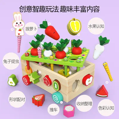 Farm Toy Carrot Pull Shape Matching Baby 1-3 Years - 3