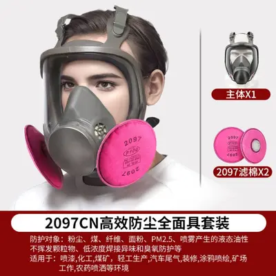 2091 Full Face Mask with 2097 Filter Cotton for Welding and Spray Painting - 8