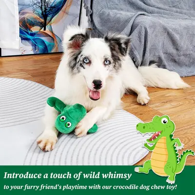 Isırmaya dayanıklı köpek oyuncağı, diş çıkarma ve eğlendirme