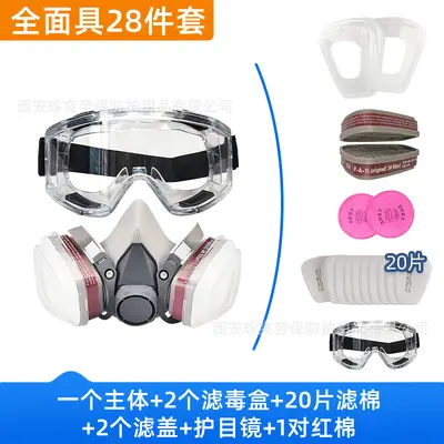 CE6200 Gas Mask with Dust Goggles, Protection Against Dust and Fumes - 12