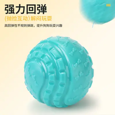 Squeaky Elastic Dog Ball, Chew-Resistant Toy for Small and Medium Dogs - 3