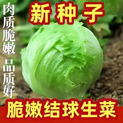 Four-Season Vegetable Seeds Set, Including Radish and Beans, 200+ Varieties - 10