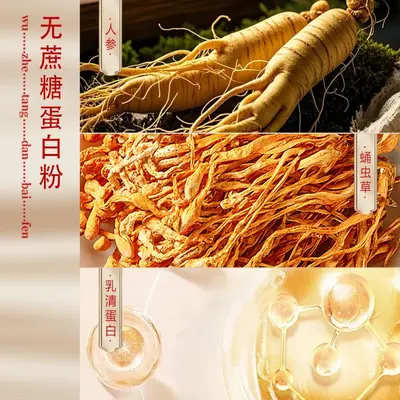 香港宝芝林官方正品无蔗糖蛋白粉真材实料一件代发批发现货