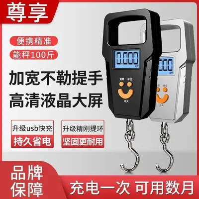 Electronic Scale 50kg, Portable Spring System, Fishing Scale