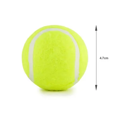 ETPU Chew-Resistant Dog Ball, Floating High-Elasticity Toy - 3