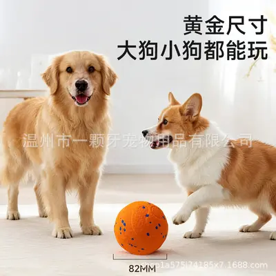 Smart Electric Bouncing Dog Ball, ETPU High Rebound, Bite-Resistant - 3