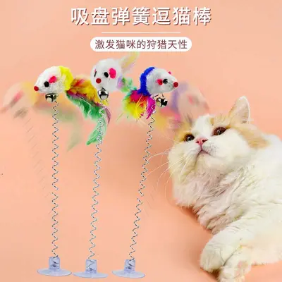 Suction Cup Spring Mouse and Feather Cat Teaser Toy, Five Colours - 4