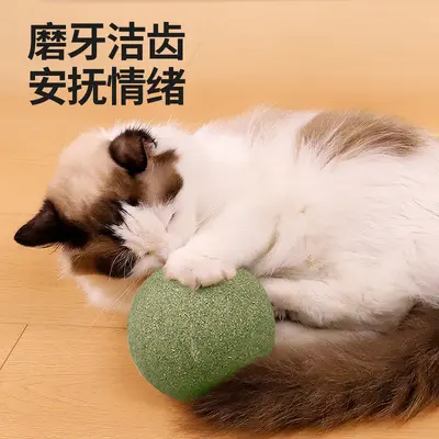 10cm Hollow Mint Ball, Cat Teeth Cleaning Toy - 5