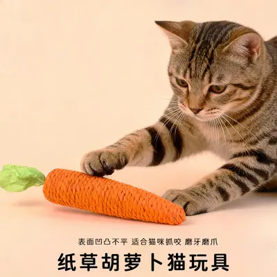 5-Piece Cat Toy Set with Interactive Teaser Toys, Catnip and Silvervine Teeth-Cleaning Pet - 5
