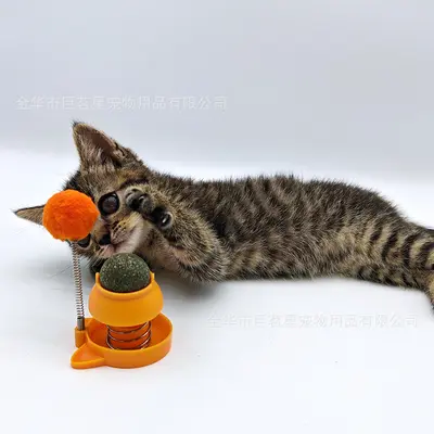 Kedi Nanesi Topu, Sallanan Kedi Oyuncağı, Kendi Kendine Eğlence - 3