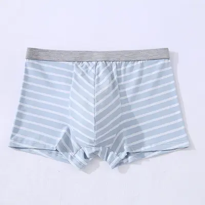 Pure Cotton Men's Boxer Briefs, 3D Seamless, Striped Print, Plus Size - 11