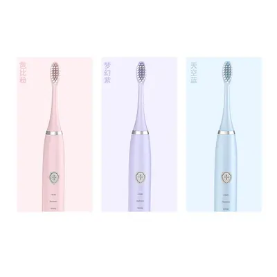 Adult Sonic Electric Toothbrush, USB Rechargeable, Portable, Fully Washable