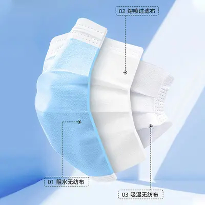 Disposable Adult Mask, Three-Layer, Individually Packed