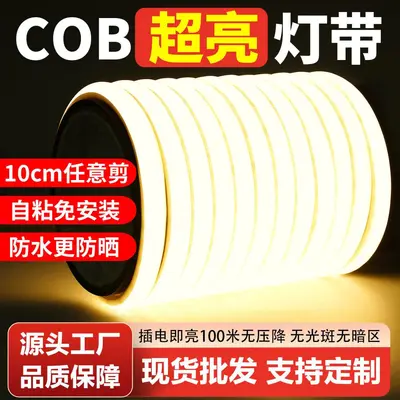 COB LED-Streifen 220V Outdoor wasserdicht selbstklebend lineare Leuchte Wohnzimmer Deckenleuchte Hochspannungs-LED Silikonflexible Lichtleiste