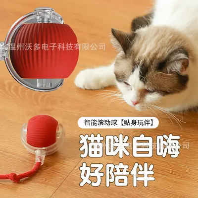 Automatic Cat Teaser Ball, Bite-Resistant, with Rope - 3