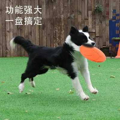 Eisenwell DOG-O-SOAR Frisbee Dog Toy, Soft Rubber, Bite-Resistant - 4