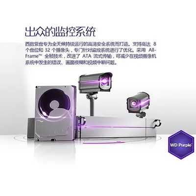 WD Purple Sabit Disk, 6 TB, Gözetim Kaydedici İçin