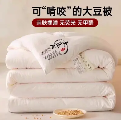 Class A Comforter Soybean Fiber Quilt Spring Autumn 2-in-1 Mother-Child Duvet Student Dormitory Single Person Thickened Winter Quilt Core - 7