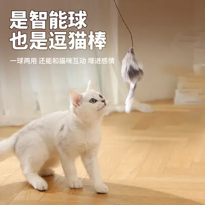 新款猫咪自嗨滚滚球宠物玩具自动滚动球逗猫球宠物用品亚马逊批发