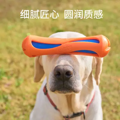 Dog Toy Floating TPR Chew Stick, Bite-Resistant Soft Teeth Cleaning Toy - 4