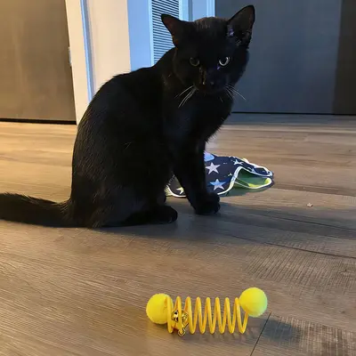 Plush Mouse Cat Toy with Bell and Spring, Self-Play Teaser - 5