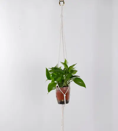 Woven Hanging Planter Basket, Hemp Rope, Indoor and Outdoor - 8