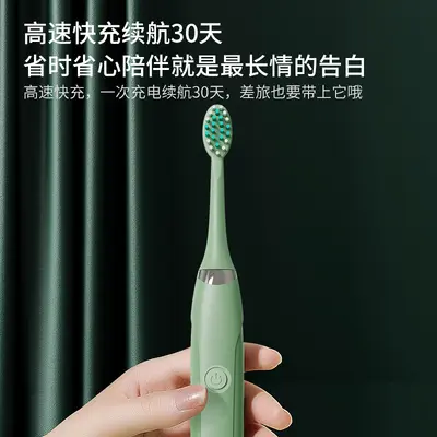 Home Vibrating Toothbrush with Water Flosser, Rechargeable, Adult Ultrasonic