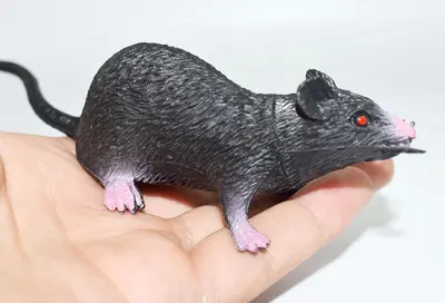 22 cm fare kedi oyuncağı, komik şaka oyuncağı, kediler ve evcil hayvanlar için - 8