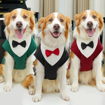 Herbst-Winter-Kleidung für große Hunde, Anzug für Golden Retriever und Corgi