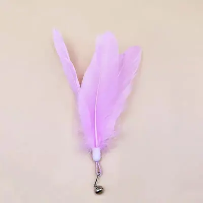 Long Handle Feather Cat Teaser Wand, Durable - 12
