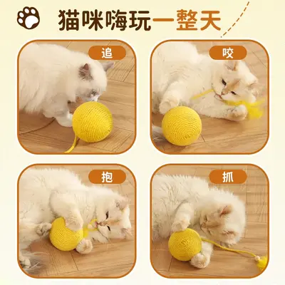 HOOPET Feather Sisal Ball Cat Toy with Long Rope Teaser Wand - 5