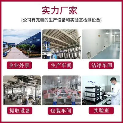 绿豆蛋白粉 食品级原料天然绿豆提取物水溶性粉末绿豆浓缩粉现货
