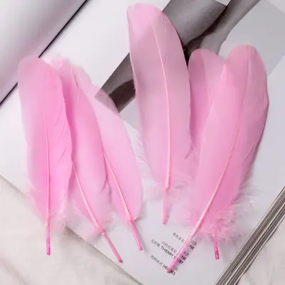 White Goose Feathers, Kindergarten Craft and DIY Jewelry Material - 12