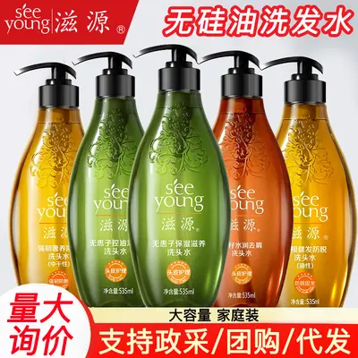 Silikonfreies Shampoo mit Seifenbaum, Teesamen und Ingwer, 535 ml - 1