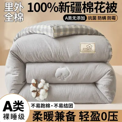 100% Cotton Thickened Winter Quilt, Xinjiang Cotton, Suitable for All Seasons - 8