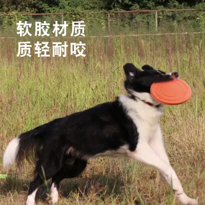 Soft Thin Frisbee and Dog Training Disc for Pets - 4