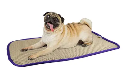 Double-Layer 3D Dog Mat, Breathable, Cooling Massage, Anti-Bedsore - 7