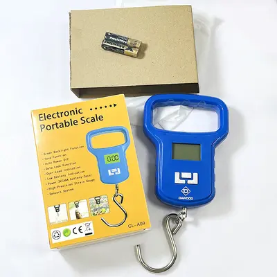 Factory Direct Supply 50kg Portable Electronic Hand Scale Fish Scale Express Delivery Handheld Electronic Scale A09 Hook Scale