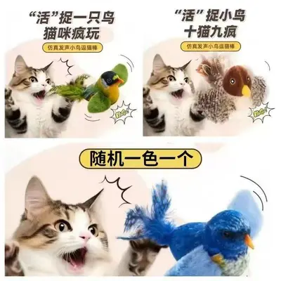 Sound Bird Simulation Hanging Cat Teaser Wand, Kitten Self-Play Toy - 3