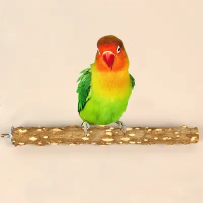 Parrot Standing Perch Stand with Claw Grinding Wood Stick