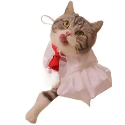 Evcil Kedi ve Köpek Aşçı Şapkası, Cosplay Kostüm, Küçük Irk Fotoğraf Aksesuarı