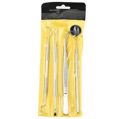 Stainless Steel Dental Scaler Set with Endoscope Probe