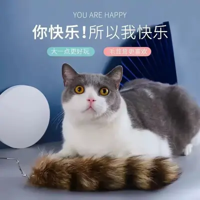 Retractable Cat Teaser Wand with Fox Tail and Bell - 3