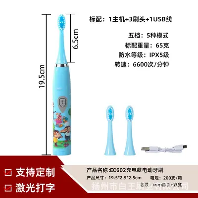 Sonic Electric Toothbrush, Lithium Battery, Rechargeable - 13