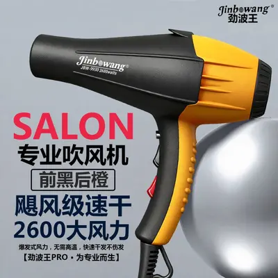 Jinbo Wang 9930 Professional Hair Dryer, Blue Light, Negative Ion - 9