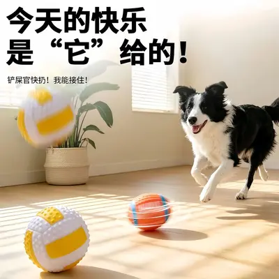 Dog toy squeaky chewing shoe with teething comfort