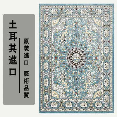 Turkish Style Non-Slip Bedroom Rug, Stain-Resistant, Thick Ethnic Pattern - 8