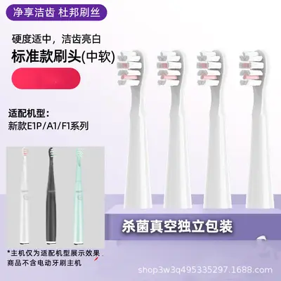 Replacement Toothbrush Heads for Sakypro Shuke, Compatible with G22/G23/G33/G32/T2 - 11