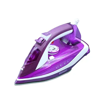 Haushalt-Handsteamer, hohe Leistung - 6