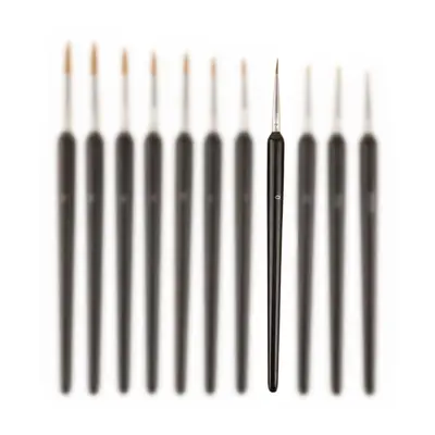 Fine art outline brush set, soft bristle watercolor acrylic - 10